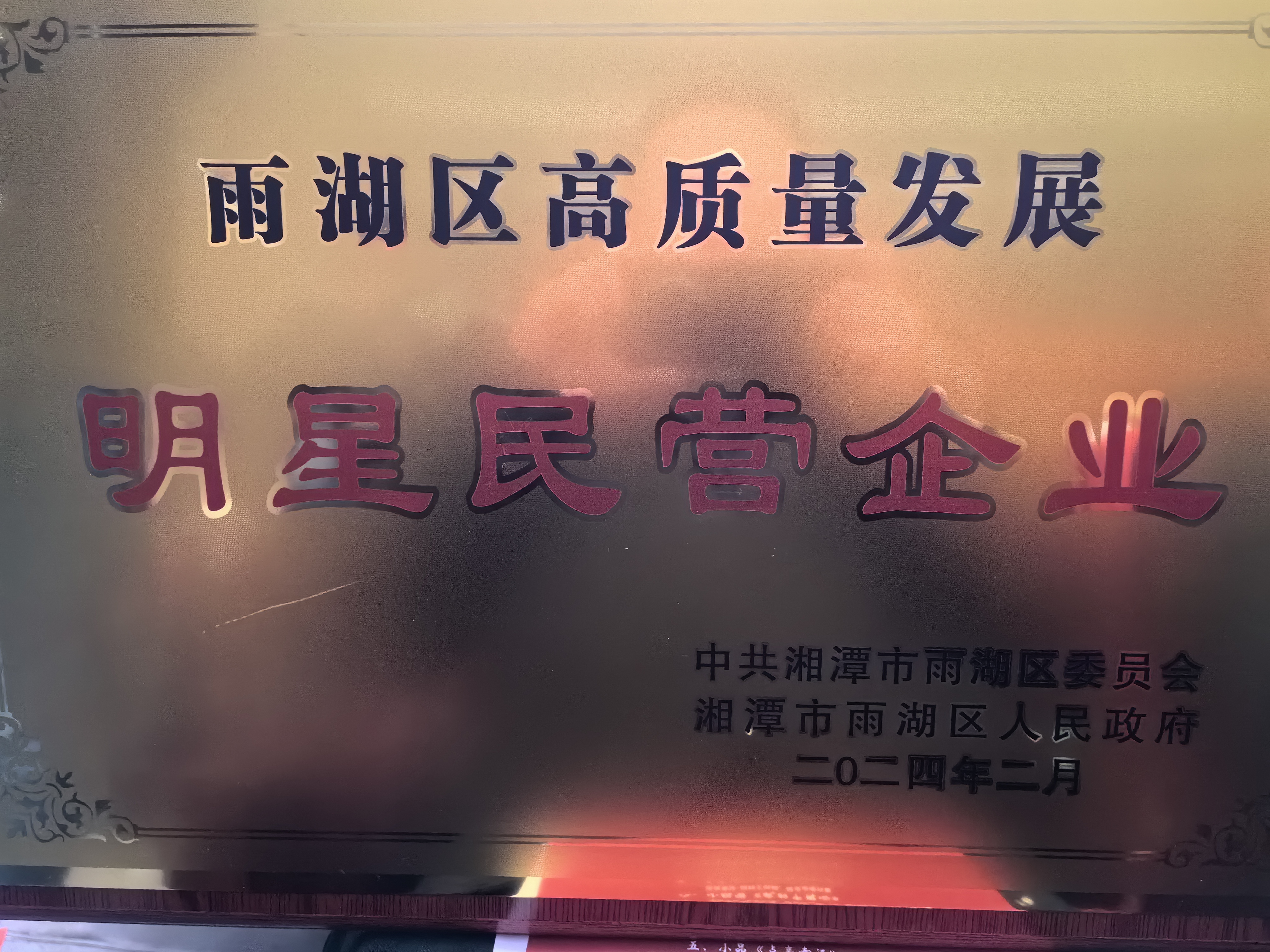 千亿体育集团（中国）股份有限公司官网荣获“雨湖区高质量发展明星民营企业”称号